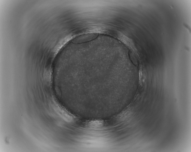 X0000102380156200808291409