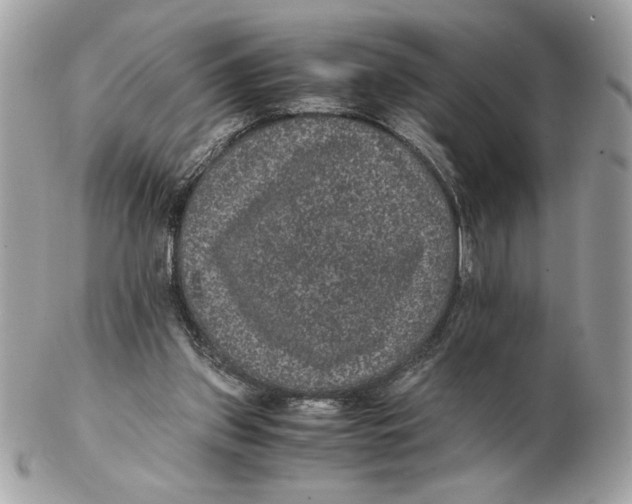 X0000102380157200808291409