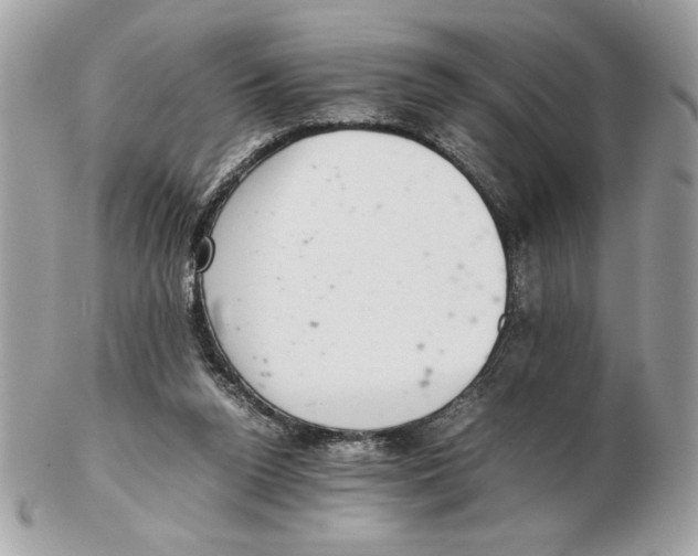 X0000102380160200808291409