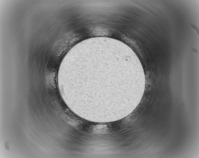 X0000102380162200808291409