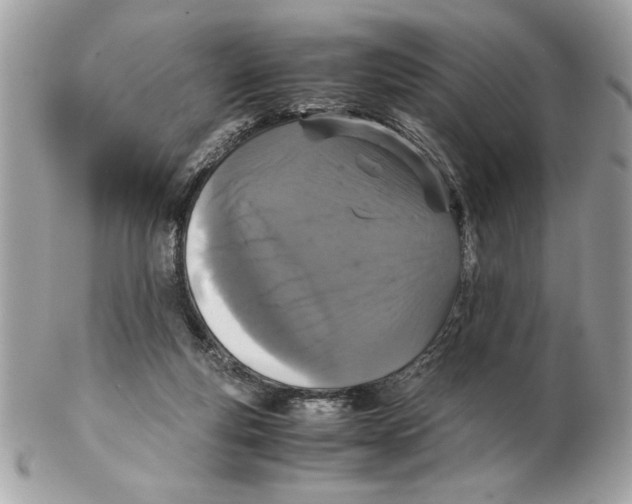 X0000102380163200808291409