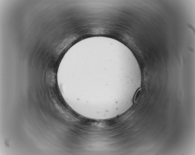 X0000102380164200808291409