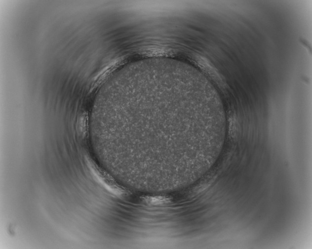 X0000102380165200808291409