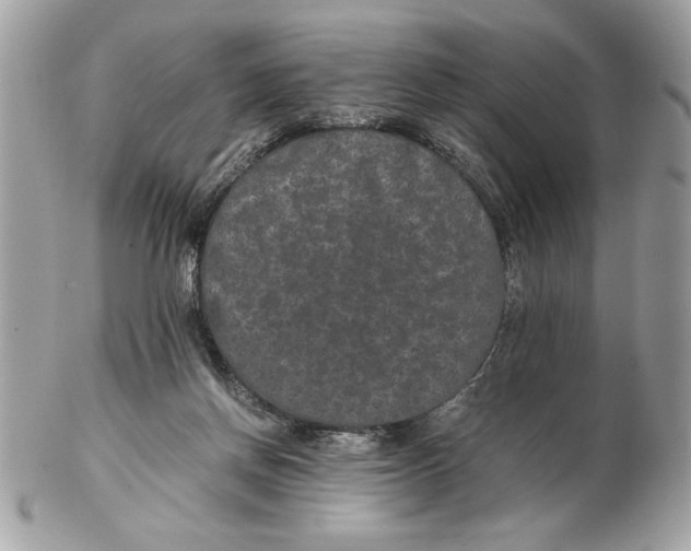 X0000102380166200808291409