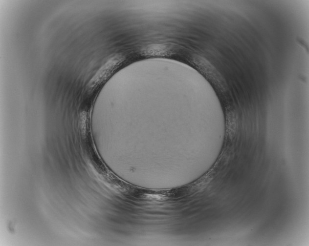 X0000102380167200808291409