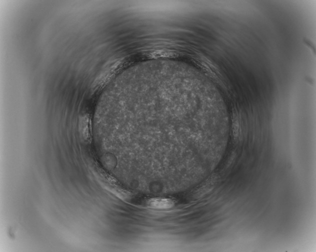 X0000102380169200808291409