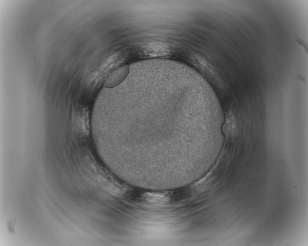 X0000102380170200808291409