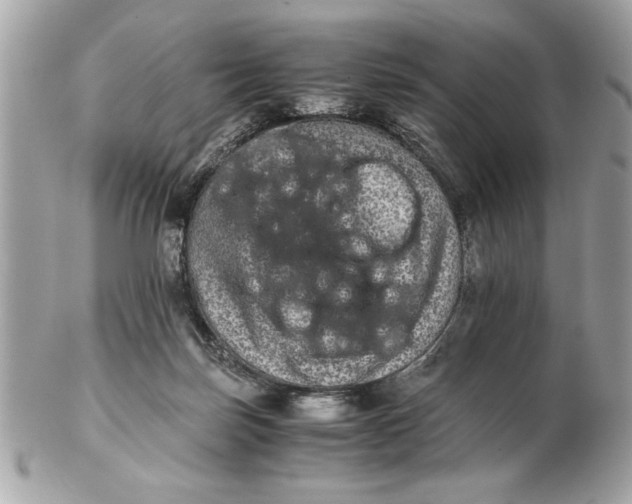 X0000102380171200808291409