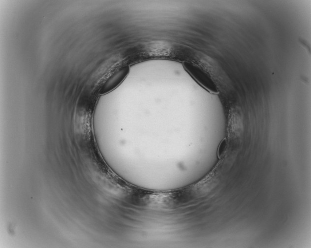 X0000102380172200808291409