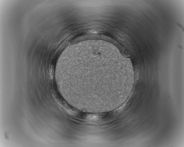 X0000102380174200808291409