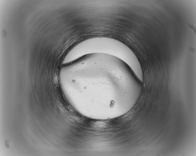 X0000102380176200808291409