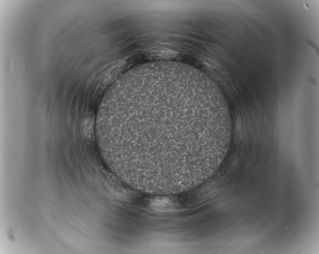 X0000102380177200808291409