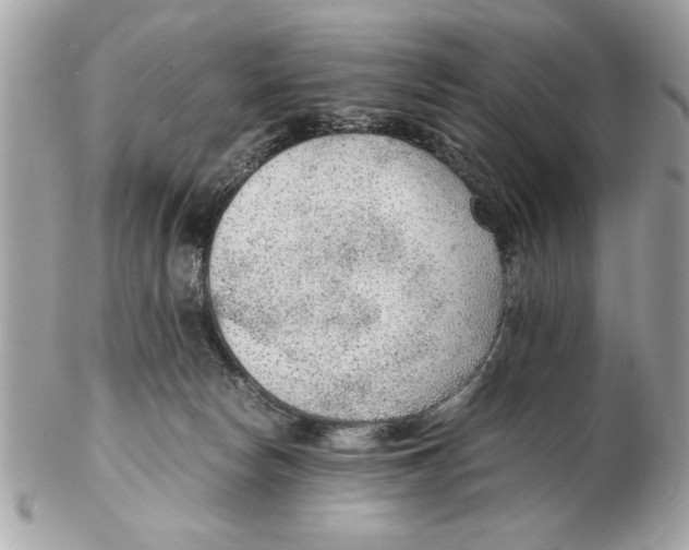 X0000102380178200808291409