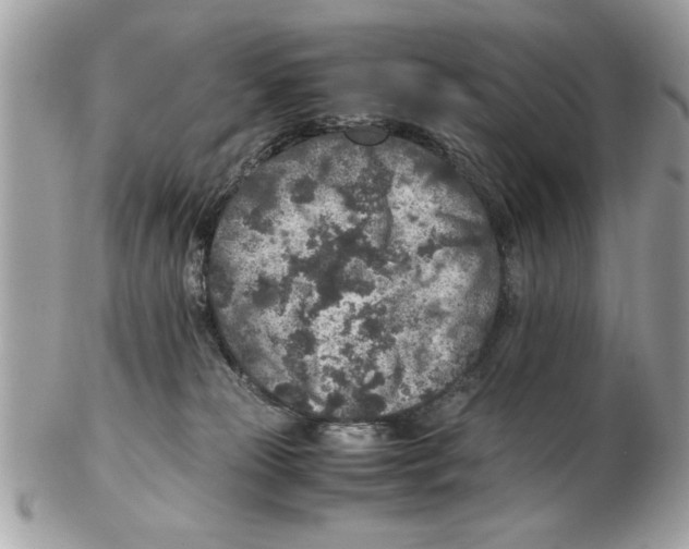 X0000102380181200808291409