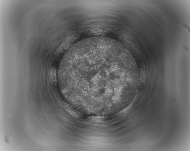 X0000102380182200808291409