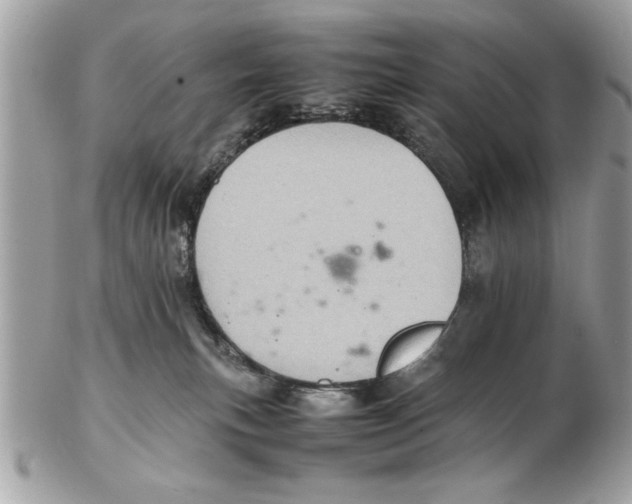 X0000102380183200808291409