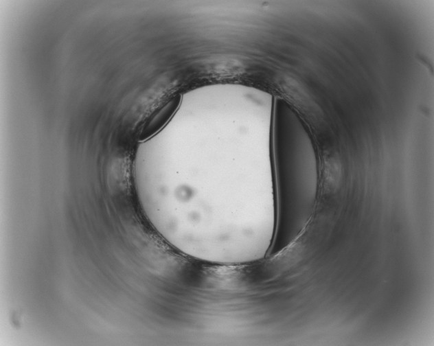 X0000102380184200808291409