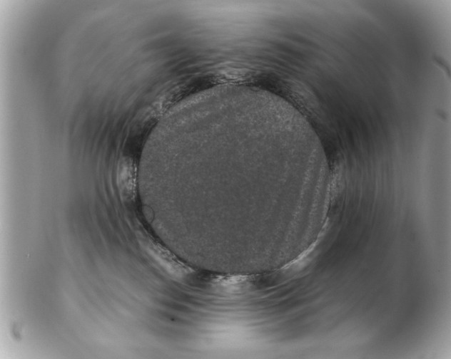 X0000102380186200808291409