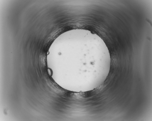 X0000102380188200808291409