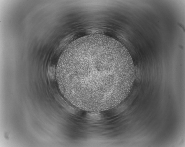 X0000102380189200808291409