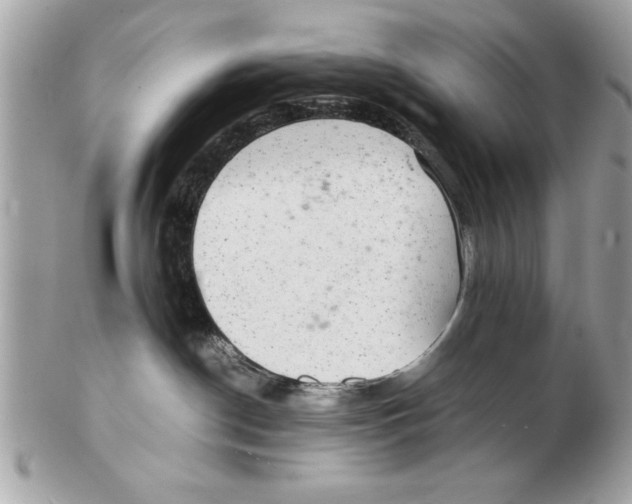 X0000102380190200808291409