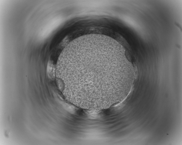 X0000102380191200808291409