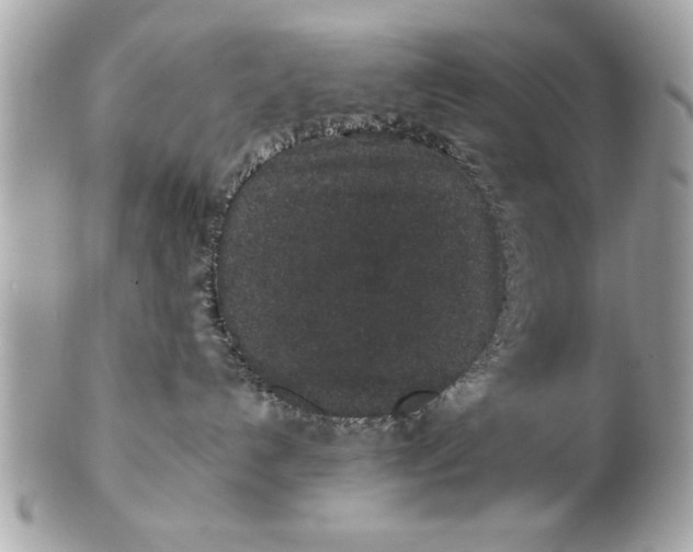 X0000102380192200808291409