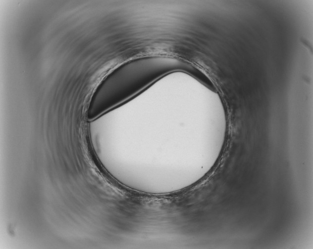 X0000102380193200808291409