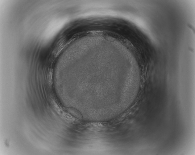 X0000102380194200808291409