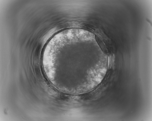 X0000102380195200808291409