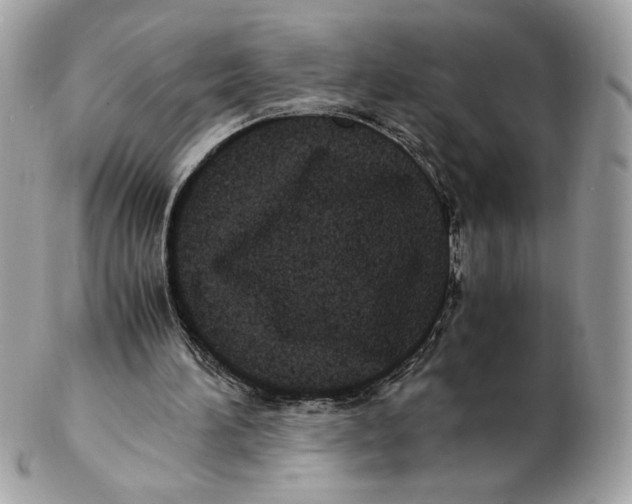 X0000102380196200808291409