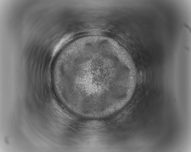 X0000102380198200808291409