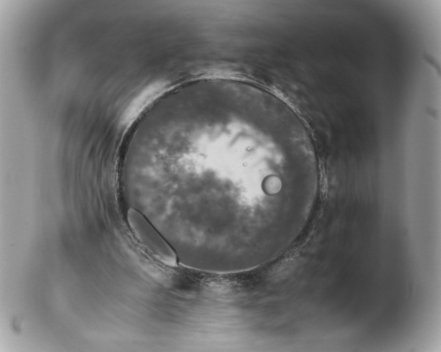 X0000102380199200808291409