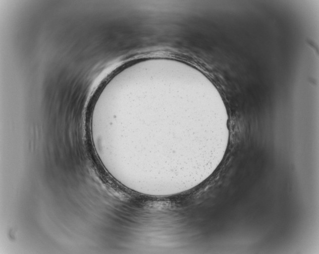 X0000102380200200808291409