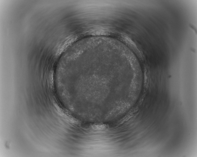 X0000102380202200808291409