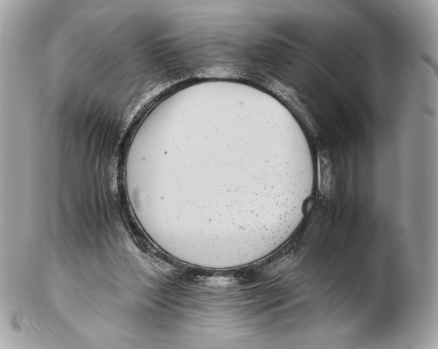 X0000102380204200808291408