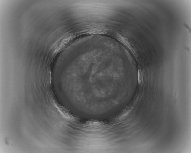 X0000102380205200808291408