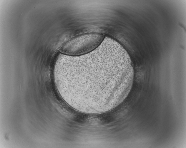 X0000102380207200808291408