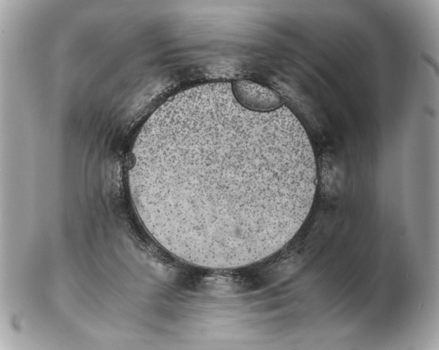 X0000102380211200808291408