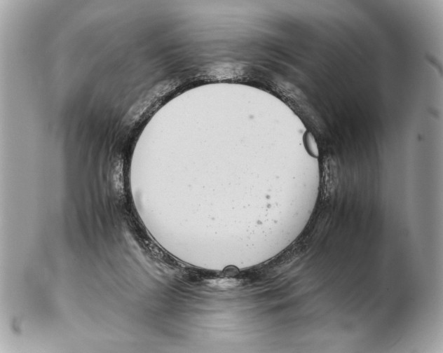 X0000102380212200808291408