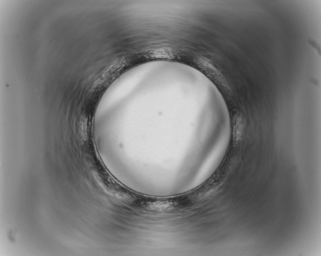 X0000102380213200808291408