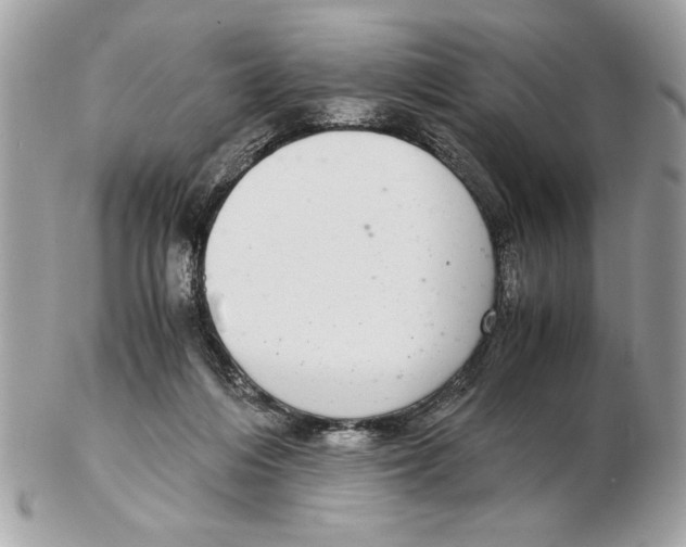 X0000102380216200808291408