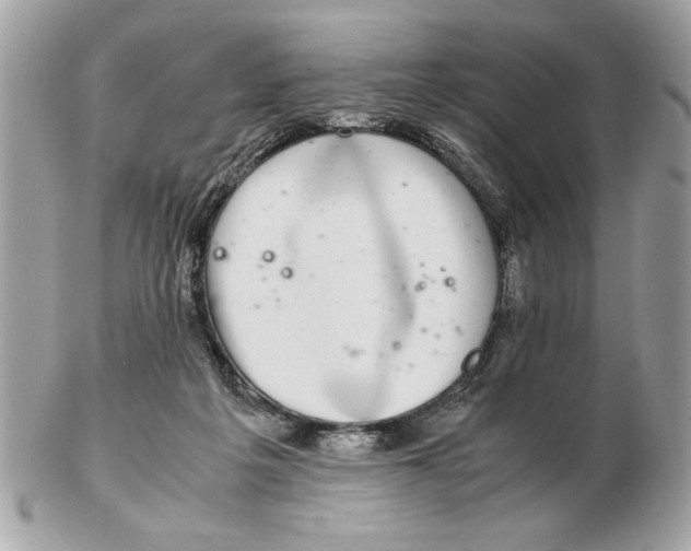 X0000102380217200808291408