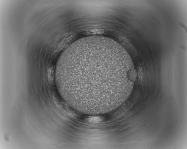 X0000102380218200808291408