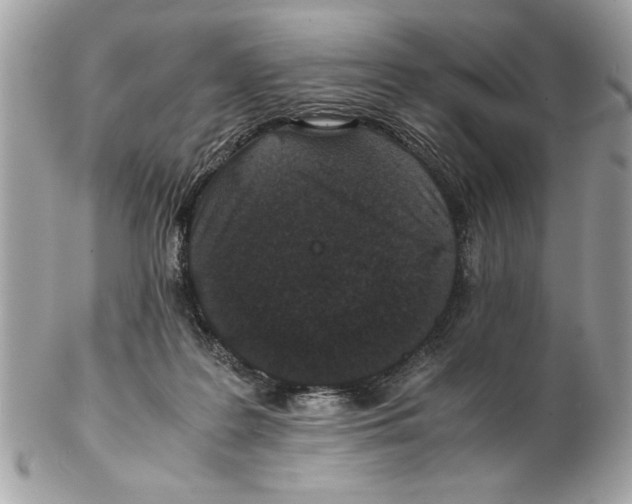 X0000102380219200808291408