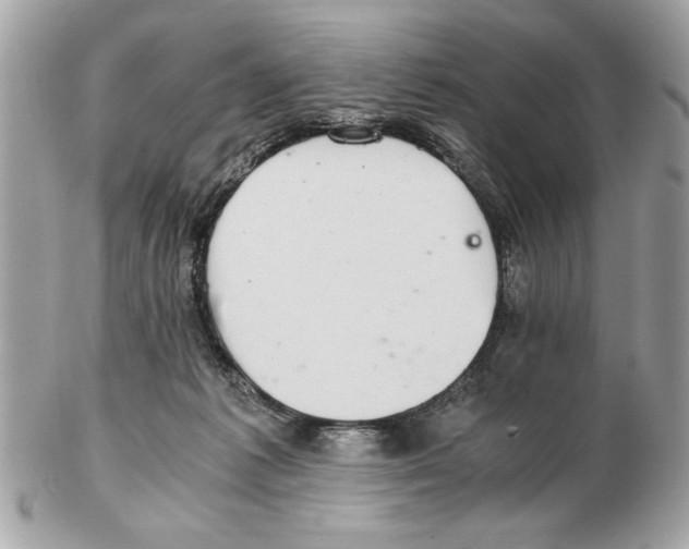 X0000102380221200808291408