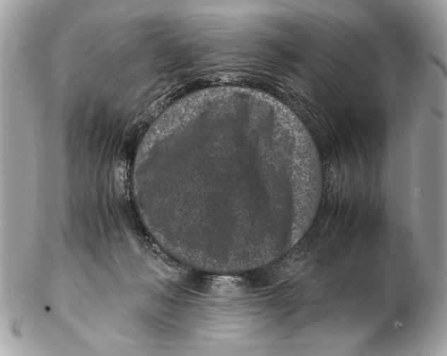 X0000102380222200808291408