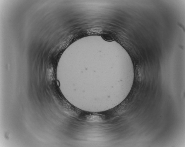 X0000102380224200808291408