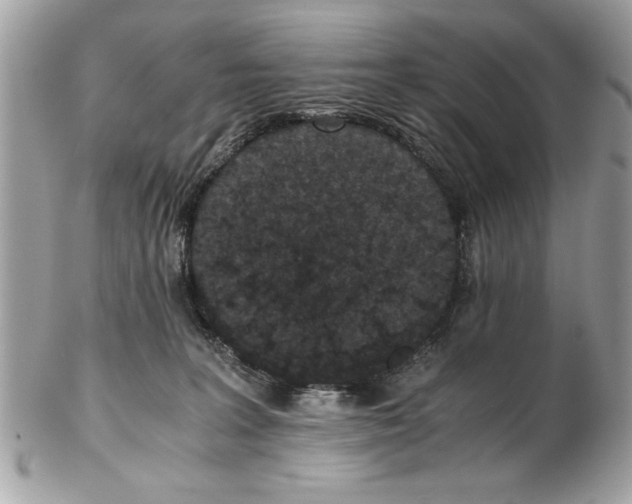 X0000102380227200808291408