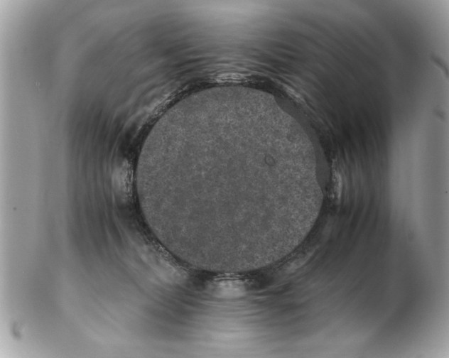 X0000102380228200808291408